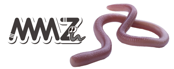 ワームのアップ写真