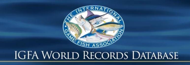 IGFA　ロゴ