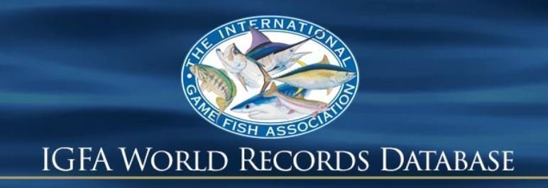 IGFA　ロゴ