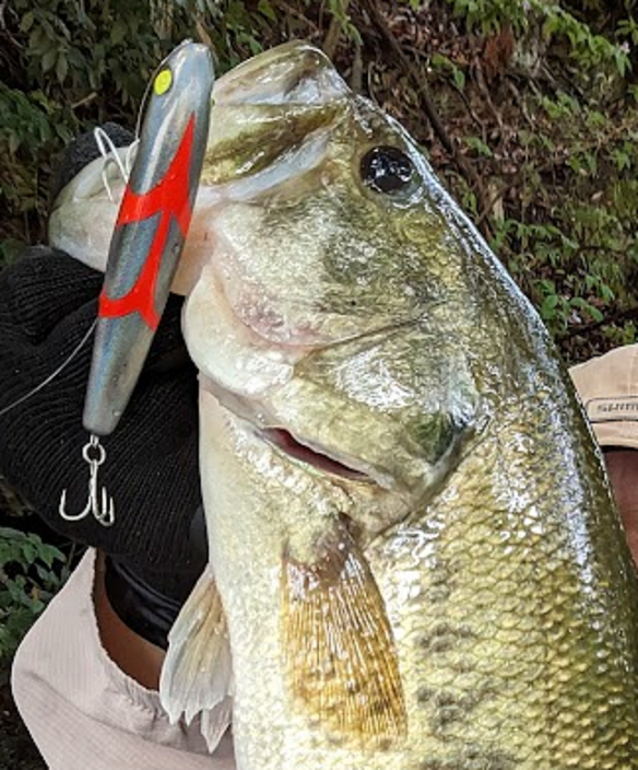 魚とルアーのアップ写真