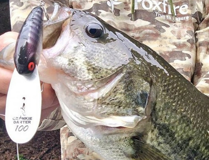 魚とルアーのアップ写真