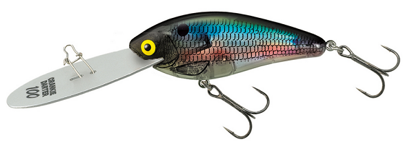 ルアーのアップ写真