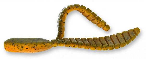 ワームのアップ写真