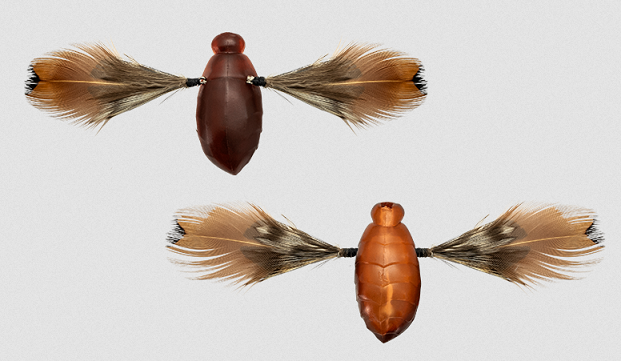 ルアーのアップ写真