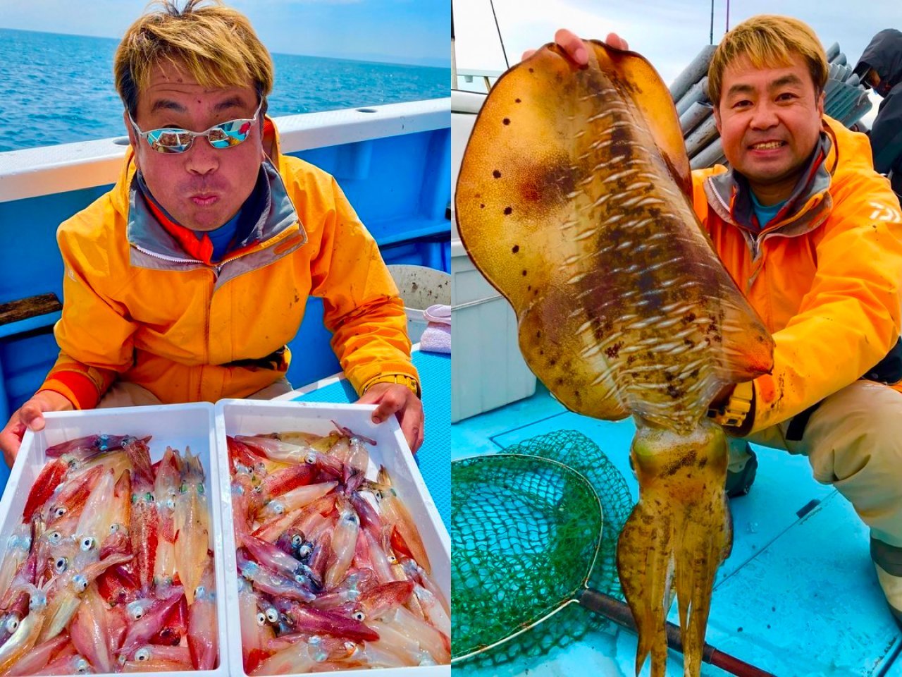 【釣果速報】マルイカが終日ヒット！神奈川県志平丸に乗船して憧れの高級イカを釣りに行こう！