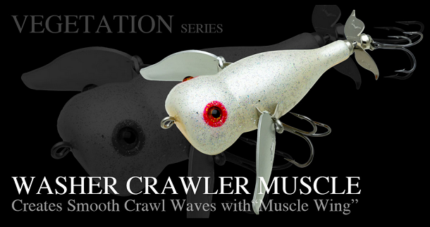 ルアーのアップ写真