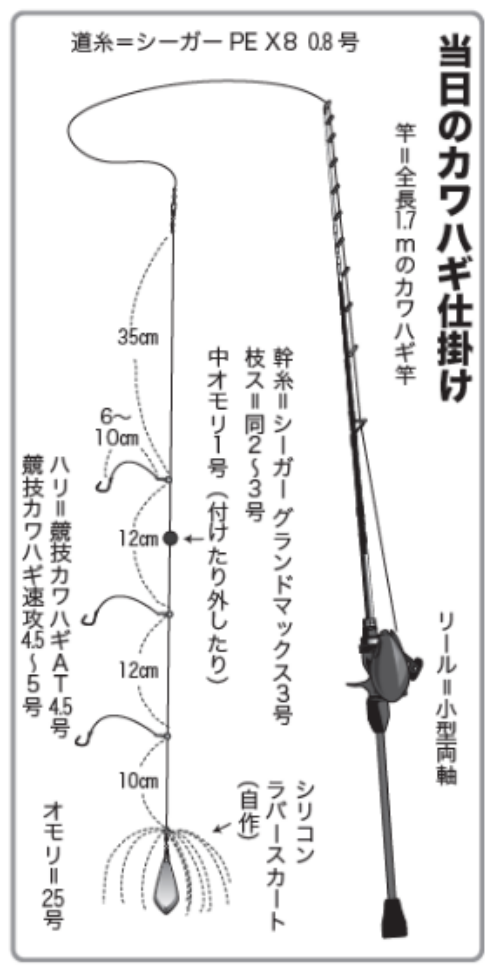 自己記録更新の大チャンス 初夏のカワハギは型ぞろい
