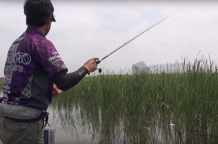 ガマ　アシ　釣り人　写真