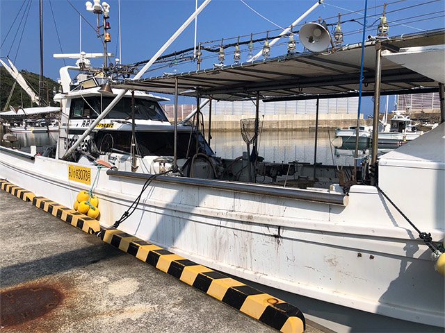 右斜め前方より