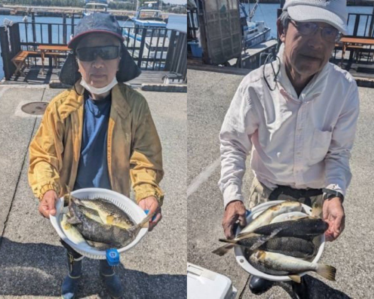 【釣果速報】神奈川県忠彦丸まるまる太った極旨ショウサイフグが大漁！質・量ともに大満足の釣りに出発だ！