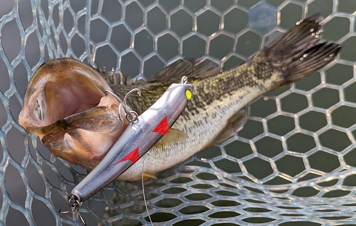 魚とルアーのアップ写真