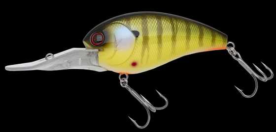 ルアーのアップ写真