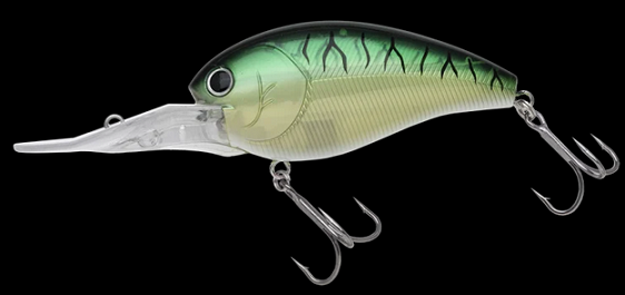 ルアーのアップ写真