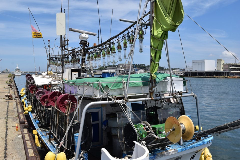 イカ釣り漁船　写真