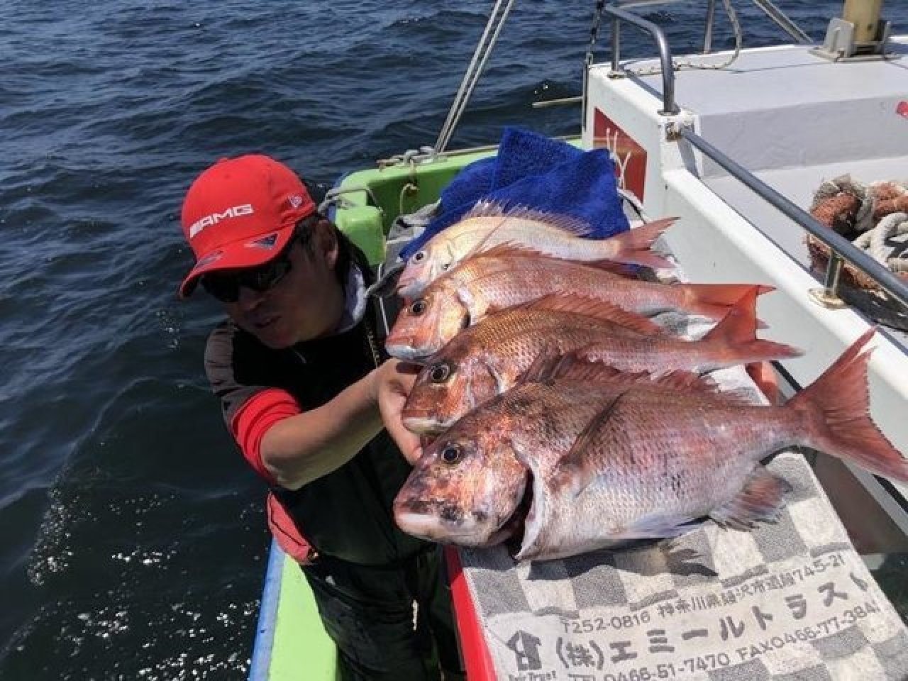 【釣果速報】神奈川県丸又丸でマダイ、メジナ、イサキ、アジなど海の人気者を次々GET！多種多様な魚と出会いたいなら今すぐ乗船を！！