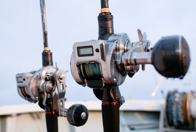 リールのアップ写真