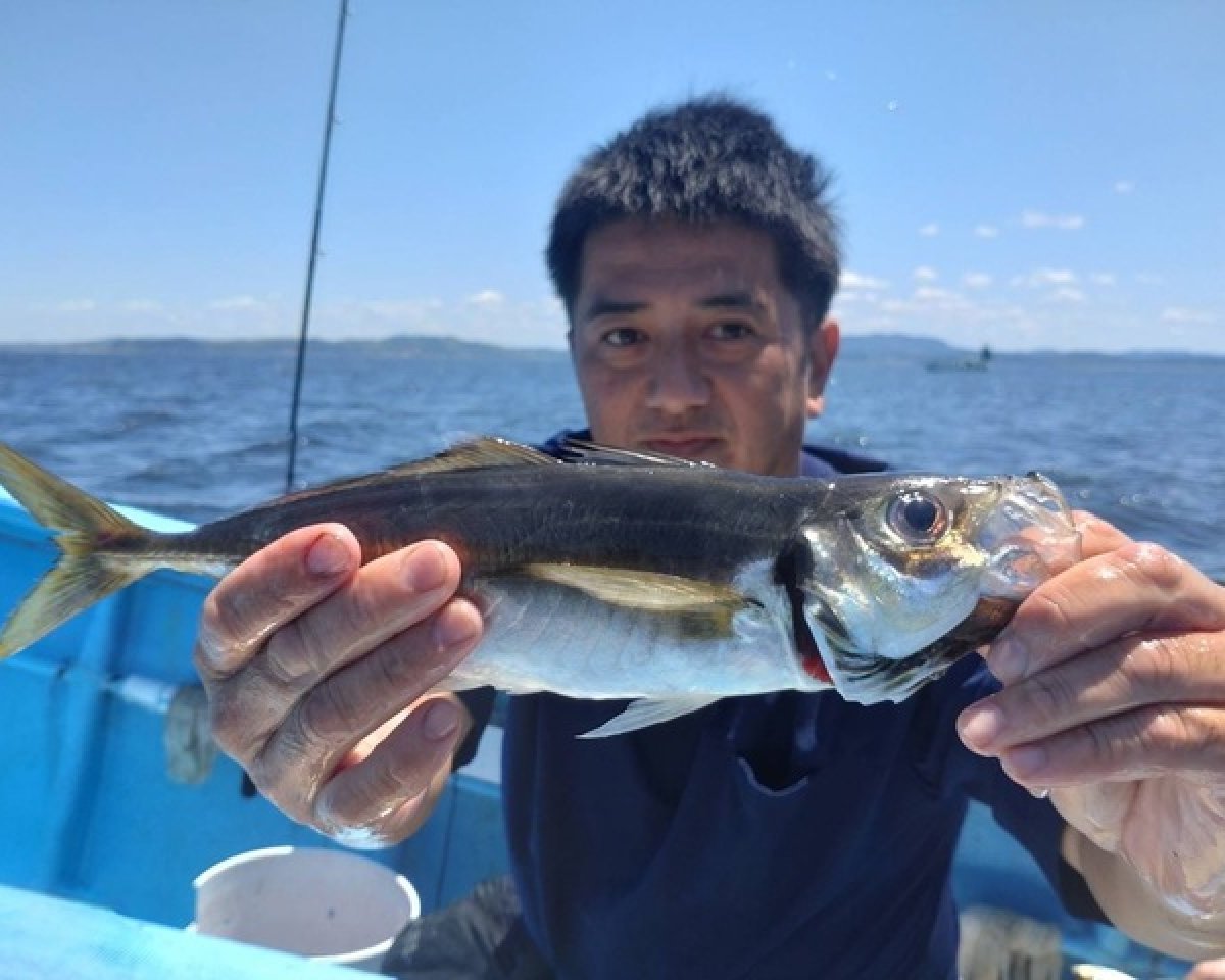 【釣果速報】千葉県福丸で特大アジ爆釣！？クーラー満タンの釣果に釣り人大満足！