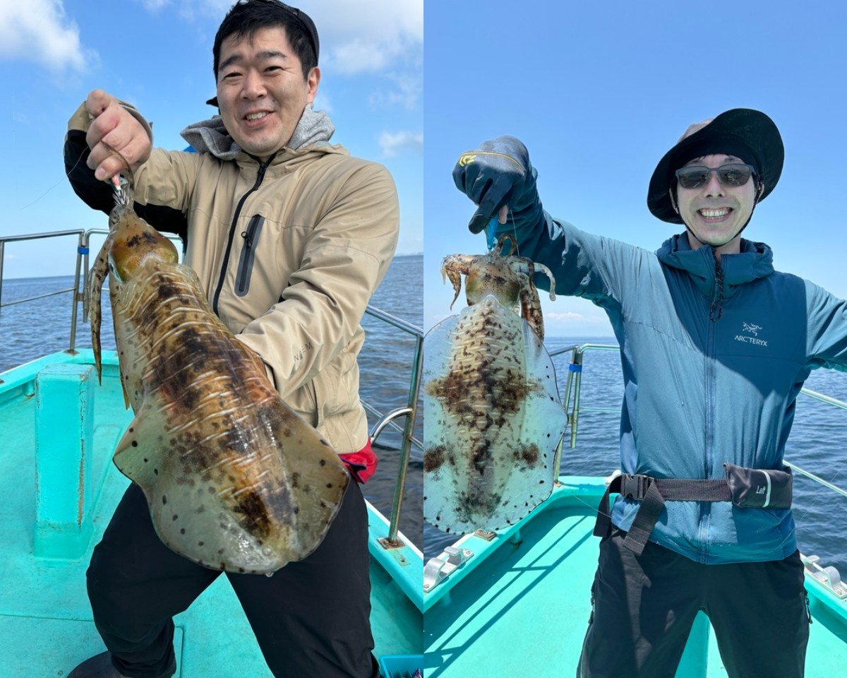 【釣果速報】神奈川県哲夫丸でイカざんまい！トップはアオリイカ4匹！イカの機嫌が良い今が大漁のチャンス！