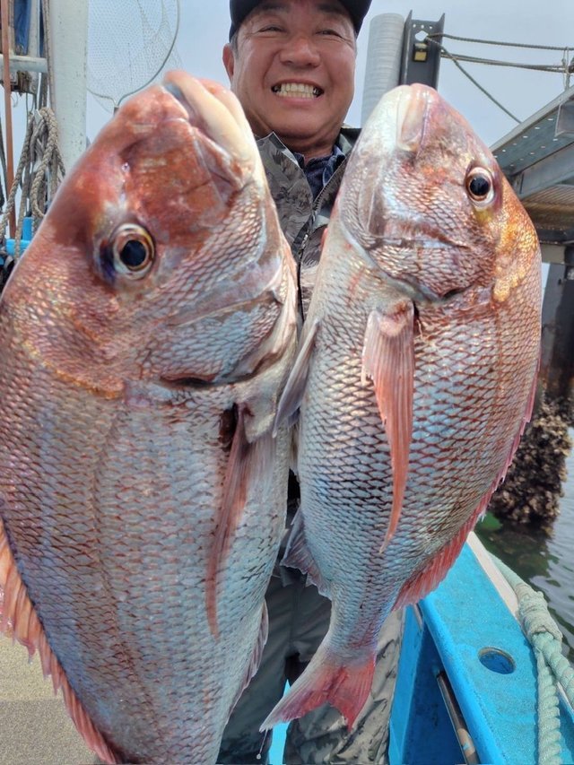 釣果速報】5.70kgのド迫力マダイ出た！自己最高記録の大鯛を狙うなら
