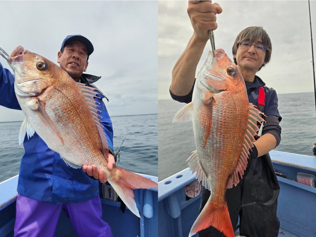 【釣果速報】マダイにハナダイ、ショウサイフグ！茨城県宗和丸に乗るとクーラーボックスが高級魚の宝石箱になるぞ！