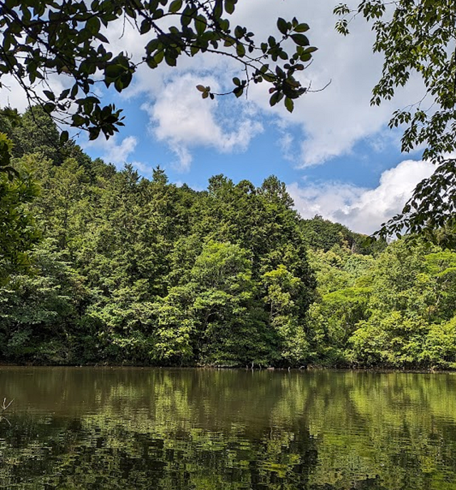 池の遠景写真