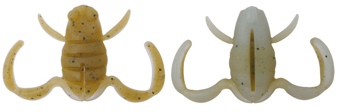 ワームのアップ写真