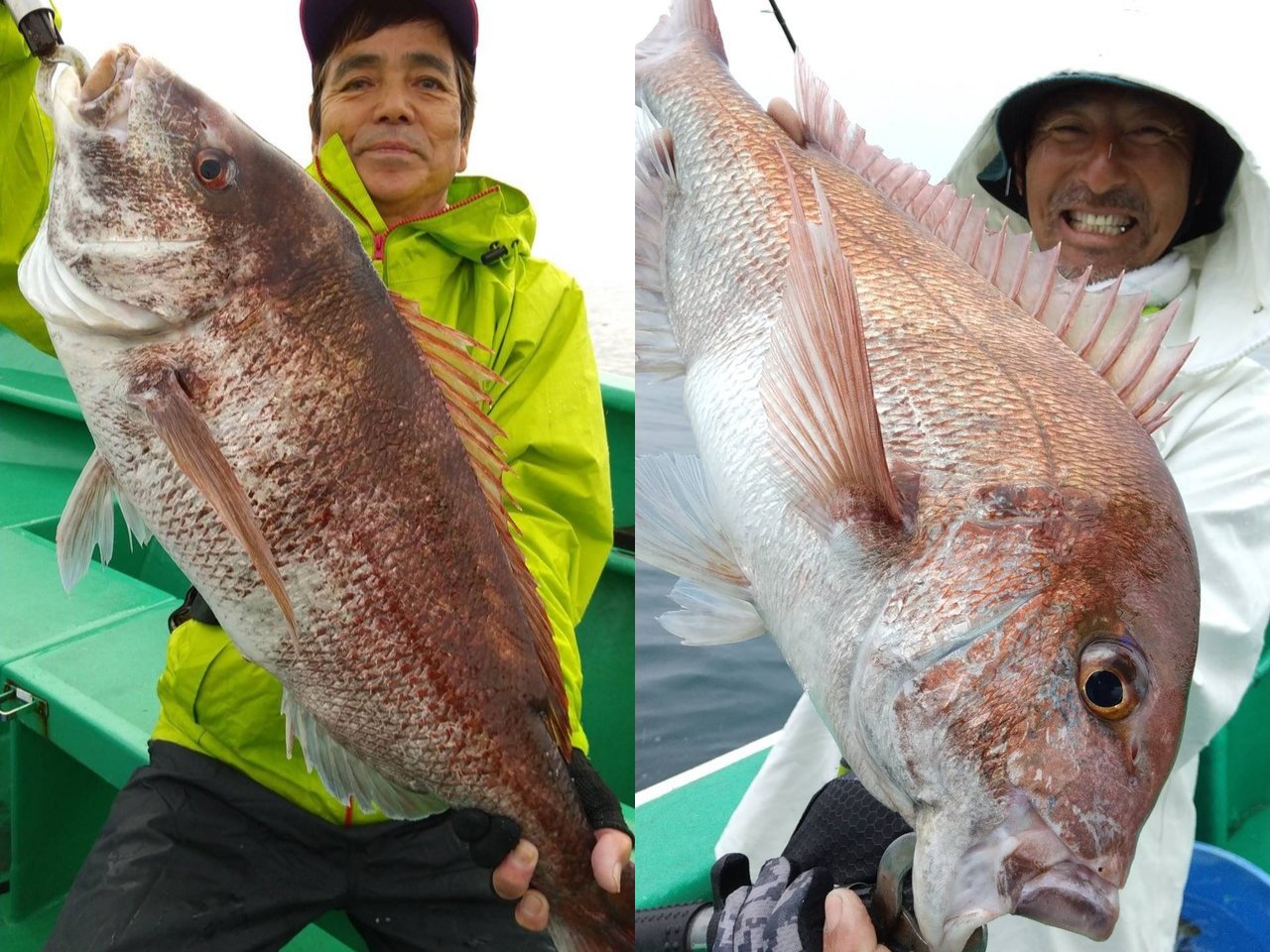 【釣果速報】でか～～～～い！茨城県長岡丸で5.72kgのマダイキャッチ！現在、中～大鯛メインにコンスタントに釣れてる模様です！