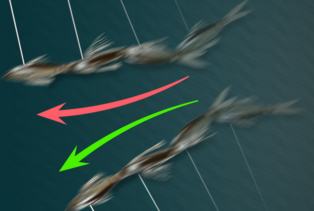 スイムベイト　まとめ売り ジップベイツ ザブラ スライドスイムミノー85 【シーバスルアー