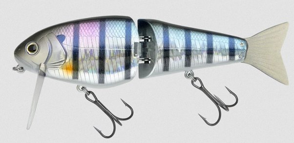 ルアーのアップ写真