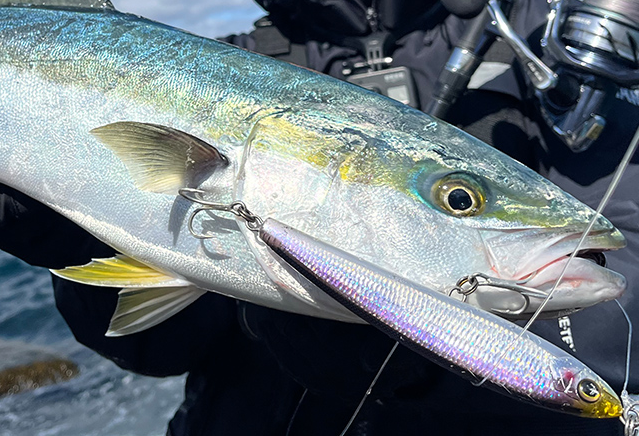 ルアーのアップ写真