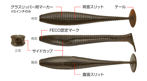 ワームのアップ写真