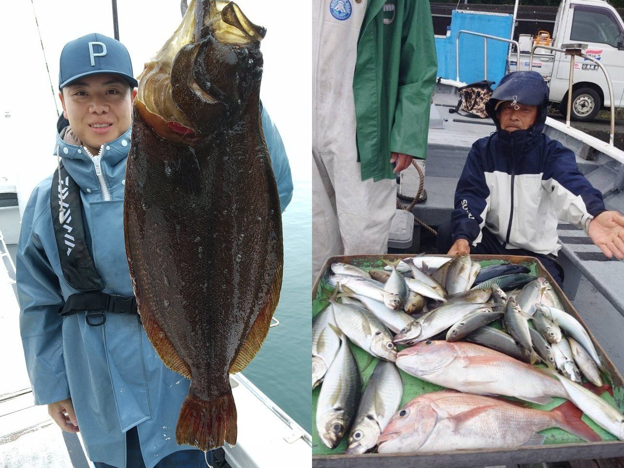 【釣果速報】静岡県魚磯丸でアジ合計50匹！記録更新が狙える今はお土産も充分でとってもおトク！