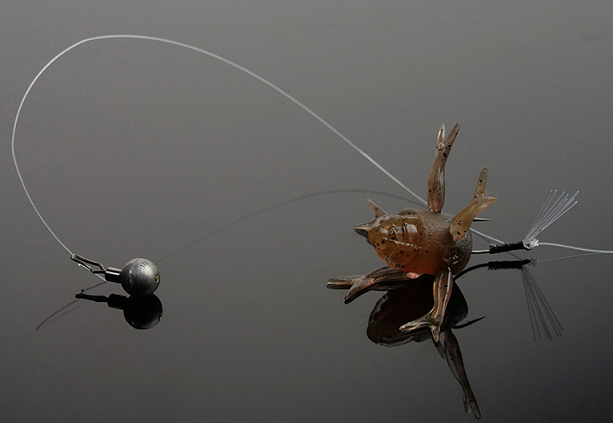 ワームのアップ写真