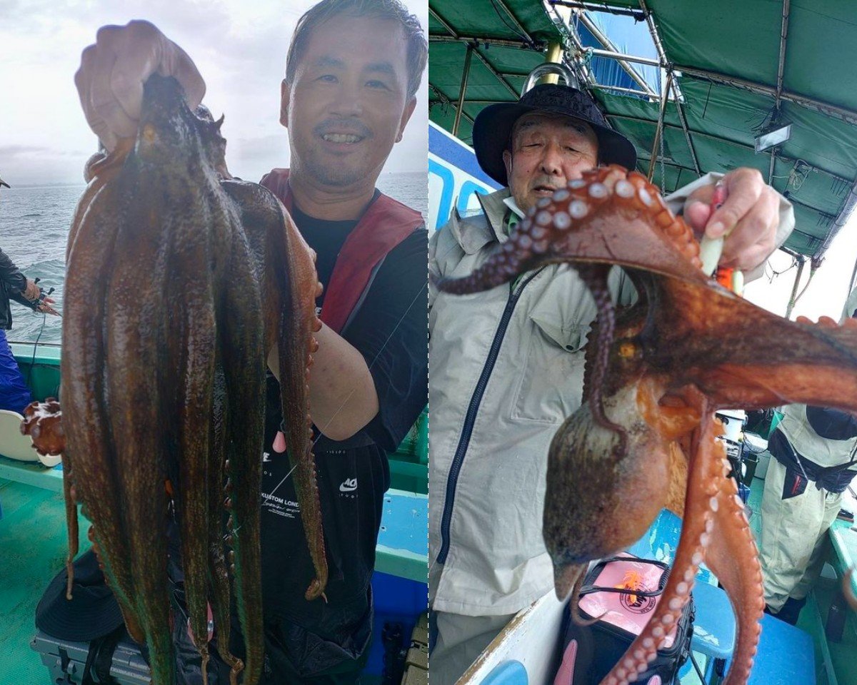 【釣果速報】兵庫県釣り船 名田屋でダイナミックな3kgマダコをキャッチ！好調な今、良型を狙いに行こう！