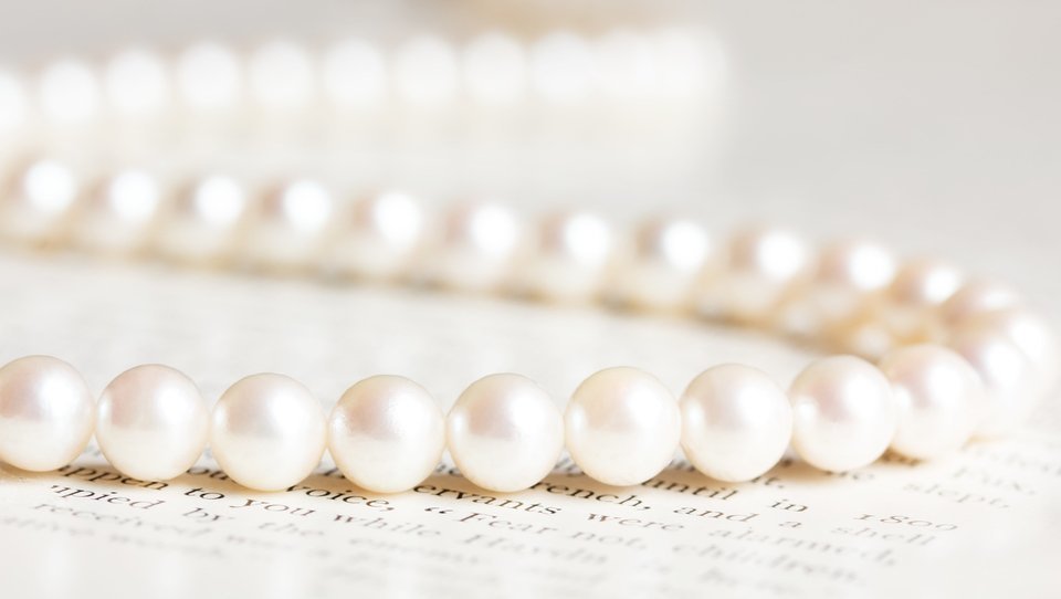 真珠　画像