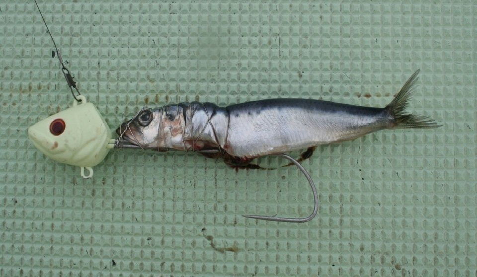 テンヤ　仕掛け　写真