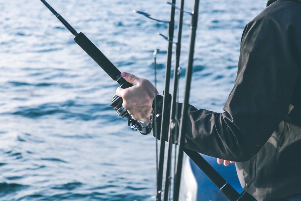 竿　釣り　写真