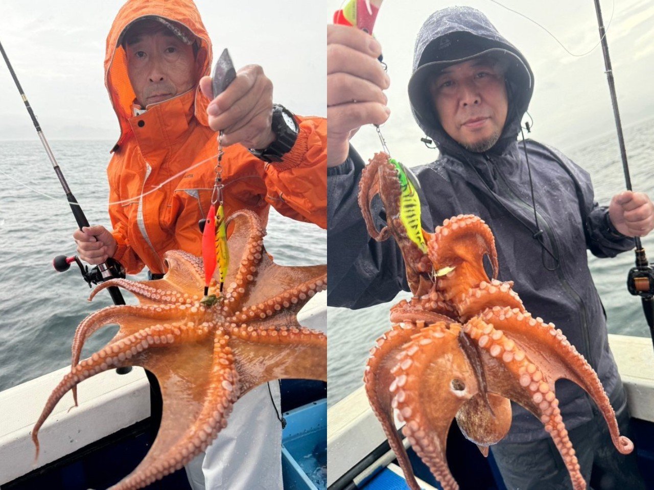 【釣果速報】雨も風も敵じゃない！兵庫県海蓮丸で最大2.84kgのタコGET！初心者・女性・お一人様だれもが輝ける釣行に参加してみませんか？