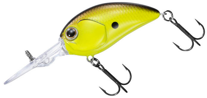 ルアーのアップ写真