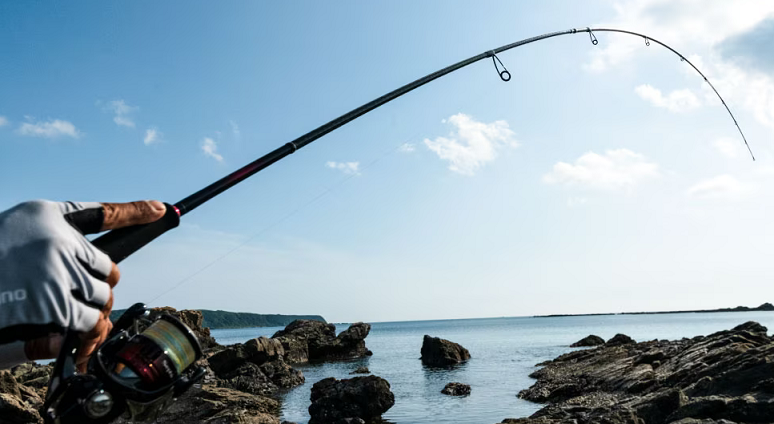 ロッドのアップ写真