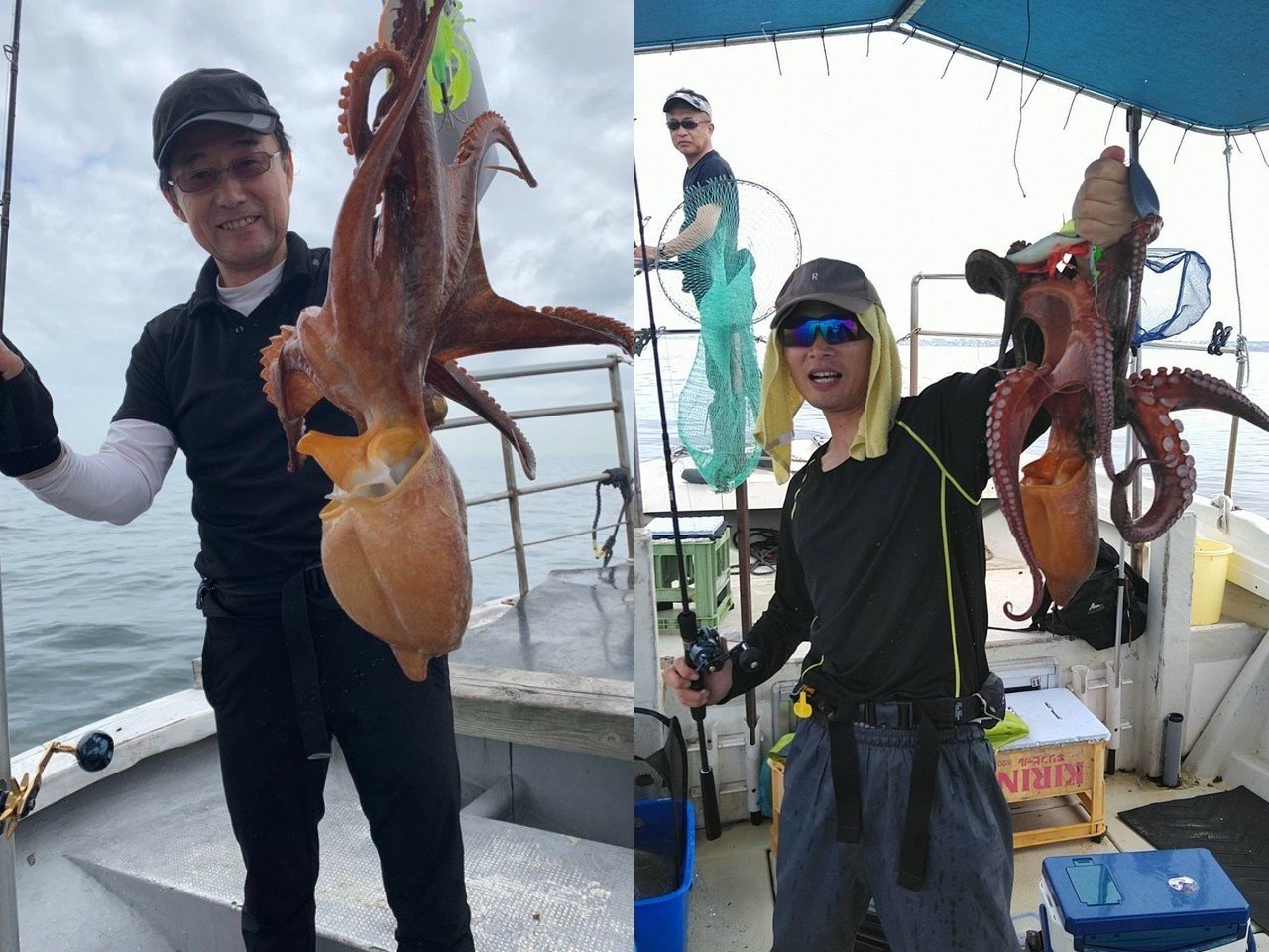【釣果速報】兵庫県釣り船 福三郎でマダコ全員キャッチ！TOP10匹！一度釣るとクセになるタコ釣りはこの夏絶対挑戦して！