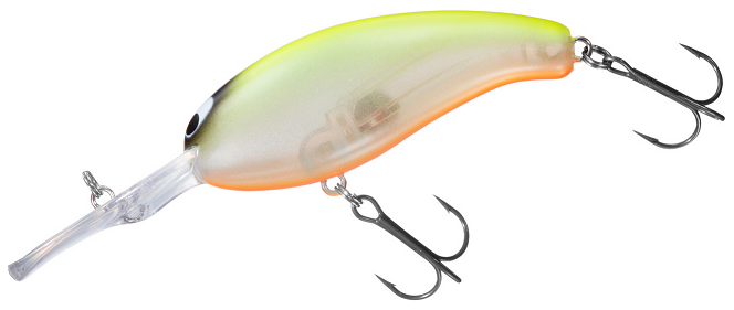 ルアーのアップ写真