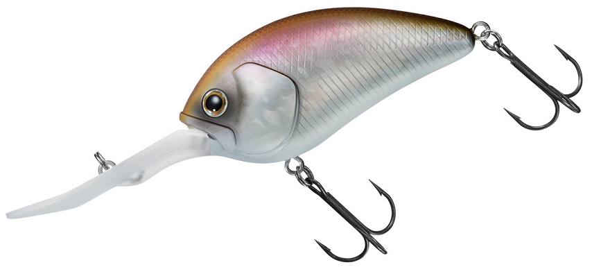 ルアーのアップ写真