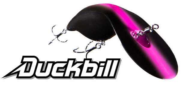 ルアーのアップ写真