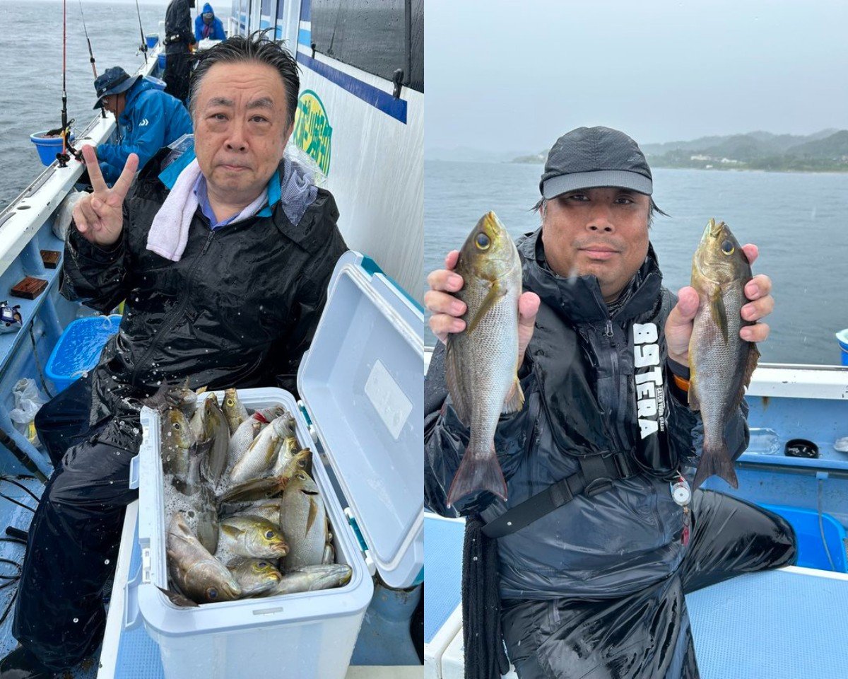 【釣果速報】千葉県早川丸で朝からイサキ好調！竿頭は50匹！今なら一日中数釣りが楽しめます！
