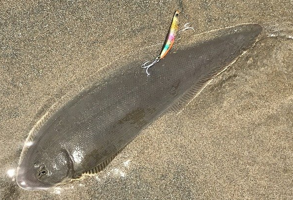 魚とルアーのアップ写真