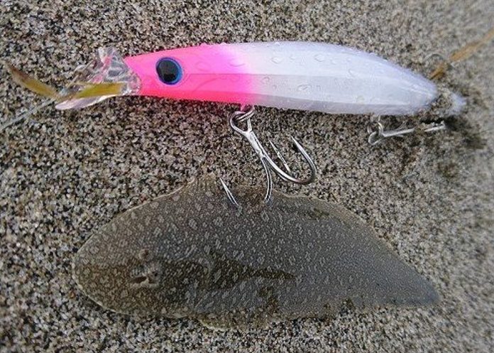 魚とルアーのアップ写真