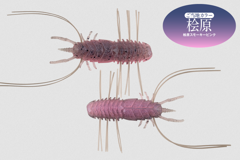 ワームのアップ写真