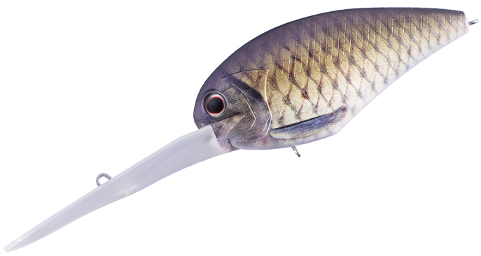 ルアーのアップ写真