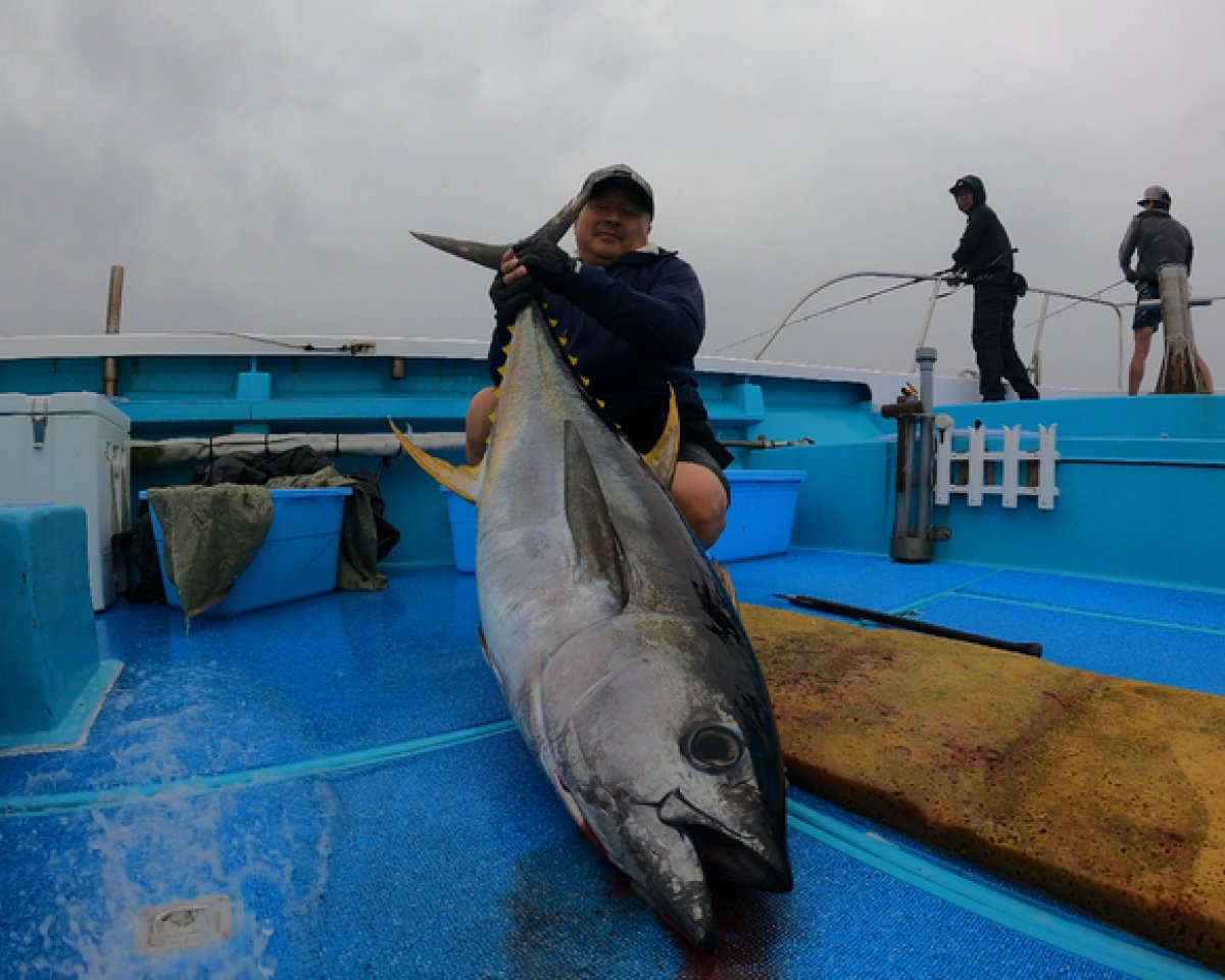 【釣果速報】静岡県もき丸でキハダマグロとの熱い戦いが何度も繰り広げられる！28kgサイズをゲット！